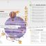 Astrology - thumbnail of spread image 4 Thumbnail image of Astrology - 4