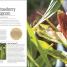 Grow Something Different To Eat - thumbnail of spread image 6 Thumbnail image of Grow Something Different To Eat - 6
