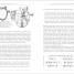 A Short History of Seafaring - thumbnail of spread image 9 Thumbnail image of A Short History of Seafaring - 9