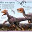First Dinosaur Encyclopedia - thumbnail of spread image 3 Thumbnail image of First Dinosaur Encyclopedia - 3