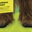 Star Wars Meet the Heroes Chewbacca - thumbnail of spread image 2 Thumbnail image of Star Wars Meet the Heroes Chewbacca - 2