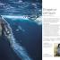 Wildlife of the World - thumbnail of spread image 3 Thumbnail image of Wildlife of the World - 3