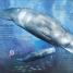 Through the Animal Kingdom - thumbnail of spread image 6 Thumbnail image of Through the Animal Kingdom - 6