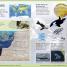 First Earth Encyclopedia - thumbnail of spread image 4 Thumbnail image of First Earth Encyclopedia - 4