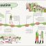 DK Life Stories Alexander Hamilton - thumbnail of spread image 5 Thumbnail image of DK Life Stories Alexander Hamilton - 5