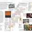 DK Eyewitness Travel Guide San Francisco and Northern California - thumbnail of spread image 5 Thumbnail image of DK Eyewitness Travel Guide San Francisco and Northern California - 5