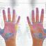 Reflexology - thumbnail of spread image 3 Thumbnail image of Reflexology - 3