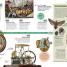 History Year by Year - thumbnail of spread image 3 Thumbnail image of History Year by Year - 3
