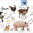 My First Animals Let's Squeak and Squawk - thumbnail of spread image 4 Thumbnail image of My First Animals Let's Squeak and Squawk - 4