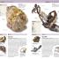 Nature Guide Rocks and Minerals - thumbnail of spread image 4 Thumbnail image of Nature Guide Rocks and Minerals - 4
