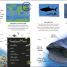 Amazing Giant Sea Creatures - thumbnail of spread image 3 Thumbnail image of Amazing Giant Sea Creatures - 3