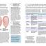 The Pregnancy Encyclopedia - thumbnail of spread image 4 Thumbnail image of The Pregnancy Encyclopedia - 4
