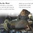 DK Readers L1: Star Wars: What Is A Wookiee? - thumbnail of spread image 4 Thumbnail image of DK Readers L1: Star Wars: What Is A Wookiee? - 4