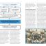 The History Book - thumbnail of spread image 4 Thumbnail image of The History Book - 4