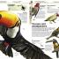 Animal! - thumbnail of spread image 4 Thumbnail image of Animal! - 4