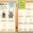Ultimate Factivity Collection: Bugs - thumbnail of spread image 4 Thumbnail image of Ultimate Factivity Collection: Bugs - 4