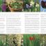 The Complete Gardener - thumbnail of spread image 4 Thumbnail image of The Complete Gardener - 4