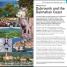 DK Eyewitness Top 10 Dubrovnik and the Dalmatian Coast - thumbnail of spread image 4 Thumbnail image of DK Eyewitness Top 10 Dubrovnik and the Dalmatian Coast - 4