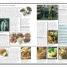 DK Eyewitness Dublin - thumbnail of spread image 2 Thumbnail image of DK Eyewitness Dublin - 2