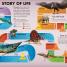 Everything You Need to Know about Dinosaurs - thumbnail of spread image 3 Thumbnail image of Everything You Need to Know about Dinosaurs - 3