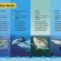 DK Readers L3: Shark Attack! - thumbnail of spread image 4 Thumbnail image of DK Readers L3: Shark Attack! - 4