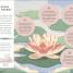 Breathwork - thumbnail of spread image 5 Thumbnail image of Breathwork - 5