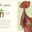 The Wonders of Nature - thumbnail of spread image 7 Thumbnail image of The Wonders of Nature - 7