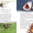 DK Readers L4: Spiders and Other Deadly Animals - thumbnail of spread image 3 Thumbnail image of DK Readers L4: Spiders and Other Deadly Animals - 3