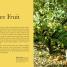 Grow Fruit - thumbnail of spread image 3 Thumbnail image of Grow Fruit - 3