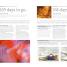 The Day-by-Day Pregnancy Book - thumbnail of spread image 3 Thumbnail image of The Day-by-Day Pregnancy Book - 3