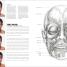 Anatomy for the Artist - thumbnail of spread image 6 Thumbnail image of Anatomy for the Artist - 6