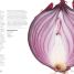 Superfoods Super Fast - thumbnail of spread image 4 Thumbnail image of Superfoods Super Fast - 4