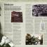 War - thumbnail of spread image 4 Thumbnail image of War - 4
