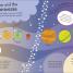 How to Be a Big Kid - thumbnail of spread image 4 Thumbnail image of How to Be a Big Kid - 4