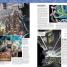 Ultimate Marvel - thumbnail of spread image 6 Thumbnail image of Ultimate Marvel - 6