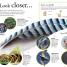 Everything You Need to Know About Birds - thumbnail of spread image 4 Thumbnail image of Everything You Need to Know About Birds - 4