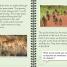 DK Readers L3: African Adventure - thumbnail of spread image 4 Thumbnail image of DK Readers L3: African Adventure - 4