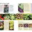 Grow Something to Eat Every Day - thumbnail of spread image 4 Thumbnail image of Grow Something to Eat Every Day - 4