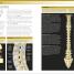 BMA Bad Back Book - thumbnail of spread image 3 Thumbnail image of BMA Bad Back Book - 3