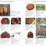 RHS Pests & Diseases - thumbnail of spread image 4 Thumbnail image of RHS Pests & Diseases - 4