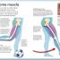My Amazing Body Machine - thumbnail of spread image 8 Thumbnail image of My Amazing Body Machine - 8