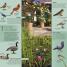 What's that Bird? - thumbnail of spread image 4 Thumbnail image of What's that Bird? - 4