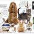 DK Children's Encyclopedia - thumbnail of spread image 5 Thumbnail image of DK Children's Encyclopedia - 5