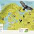 Children's Illustrated Animal Atlas - thumbnail of spread image 5 Thumbnail image of Children's Illustrated Animal Atlas - 5