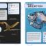 Sharks and Other Deadly Ocean Creatures Visual Encyclopedia - thumbnail of spread image 3 Thumbnail image of Sharks and Other Deadly Ocean Creatures Visual Encyclopedia - 3