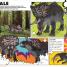 Everything You Need to Know about Dinosaurs - thumbnail of spread image 4 Thumbnail image of Everything You Need to Know about Dinosaurs - 4