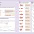 English for Everyone English Grammar Guide Practice Book - thumbnail of spread image 3 Thumbnail image of English for Everyone English Grammar Guide Practice Book - 3