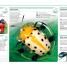 Pocket Genius: Bugs - thumbnail of spread image 3 Thumbnail image of Pocket Genius: Bugs - 3