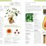 Encyclopedia Of Herbal Medicine - thumbnail of spread image 4 Thumbnail image of Encyclopedia Of Herbal Medicine - 4