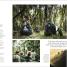 Where To Go When - thumbnail of spread image 7 Thumbnail image of Where To Go When - 7